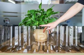 Giá Tôn Lấy Sáng 11 Sóng Polycarbonate 2026 Mới Nhất | Nhận Thiết Kế & Thi Công Trọn Gói