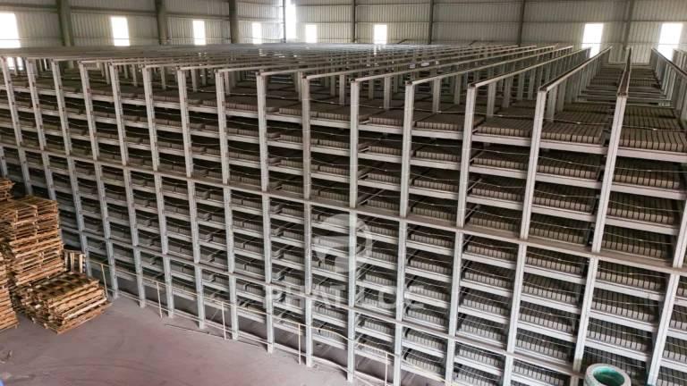 Nhà Máy Gạch Không Nung 20.000 Viên/Ngày Cần Bao Nhiêu Pallet Để Vận Hành Hiệu Quả?