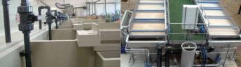 Bồn Chứa Nước Nhựa 10000L: Thiết Kế, Gia Công Theo Yêu Cầu Cho Dự Án Lớn