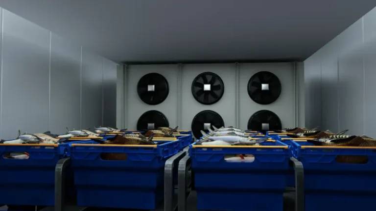 Đảm bảo vệ sinh & an toàn