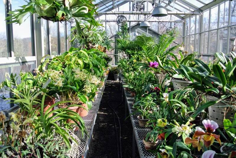 Thiết kế giàn lan chuẩn dưới mái tôn Polycarbonate