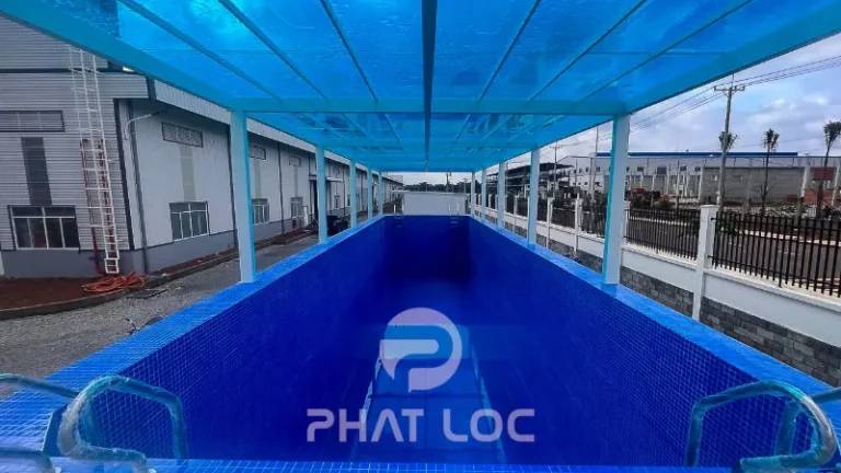 Lợp mái bể bơi, hồ cá, mái che quán cà phê