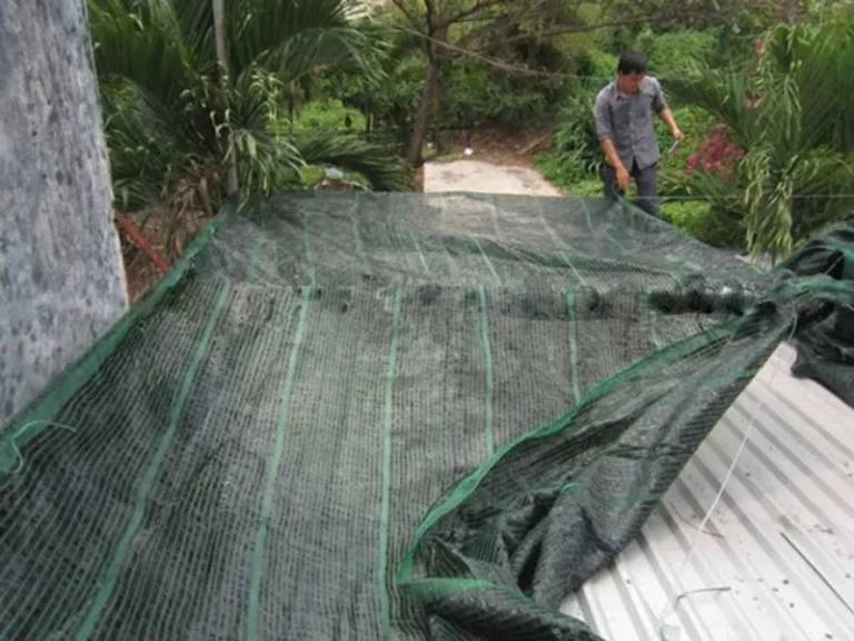 Lưới che nắng, giàn cây leo