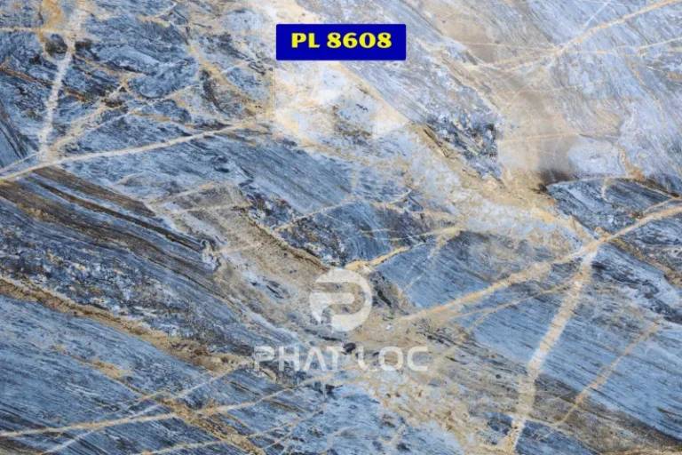 Mẫu 1: PL-8608