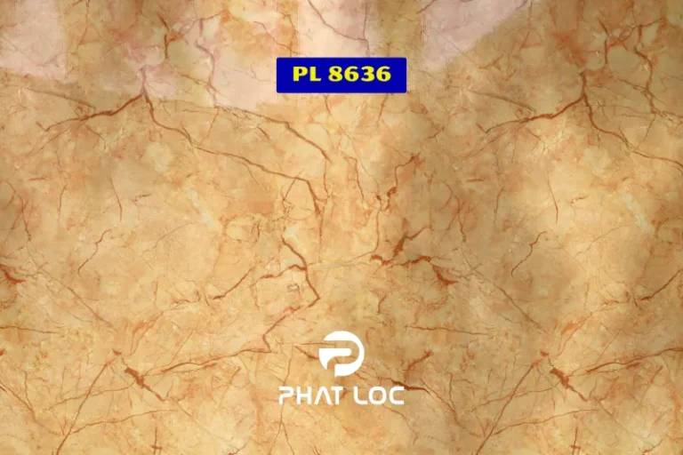 Mẫu 2: PL-8636