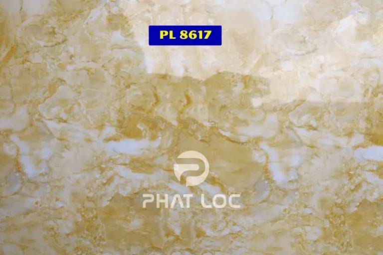 Mẫu 3: PL-8617