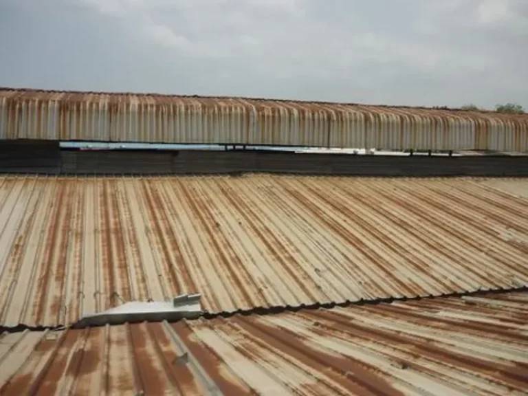Nguyên nhân gây ra tiếng kêu ở mái tôn