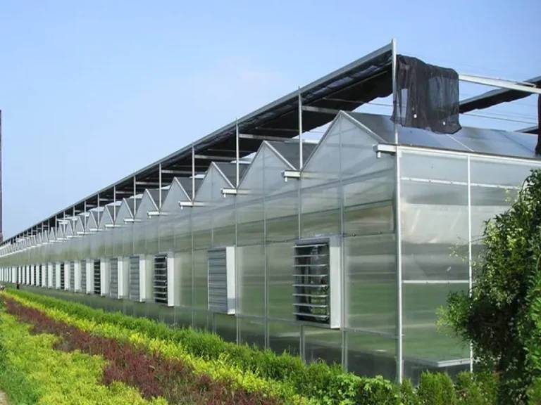 Nhà kính nông nghiệp ngoại thành Hà Nội