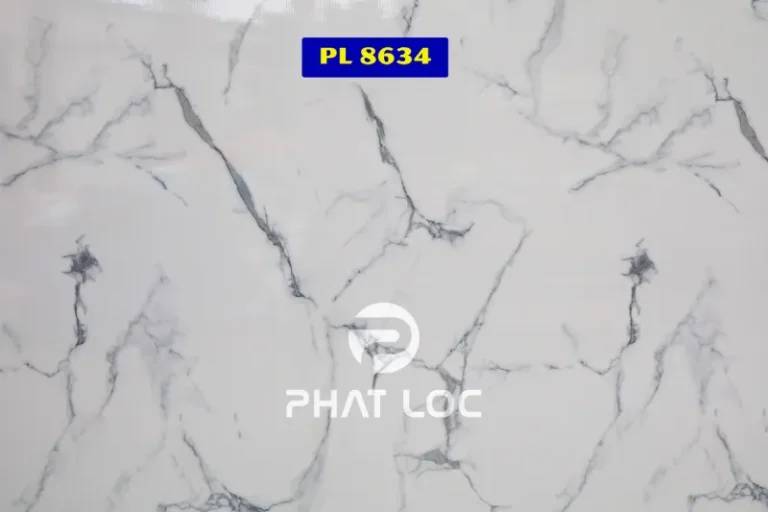 Mẫu 8634 – Hiệu ứng loang mờ tự nhiên