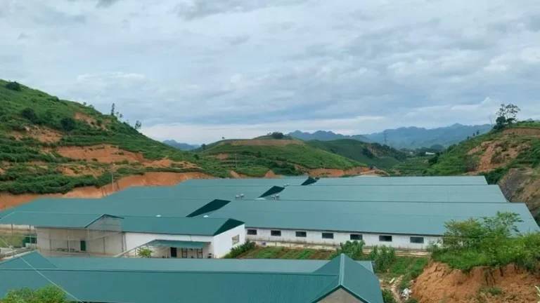 Trang trại chăn nuôi