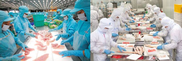 Trong sản xuất thực phẩm và đóng gói dược phẩm