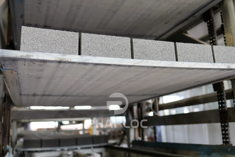 Vì Sao Doanh Nghiệp Nên Quan Tâm Đến Giá Pallet PP 30mm?